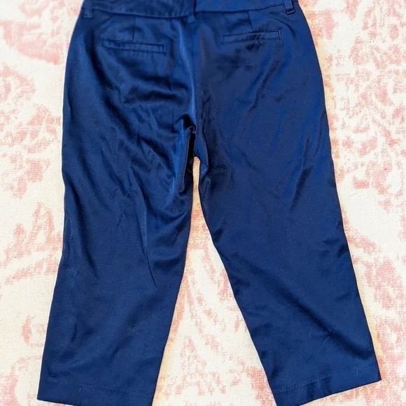Sleek Blue Silky Capris with Silver Accents - Picture 2 of 2